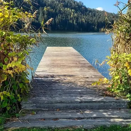 Woody * 상트어번